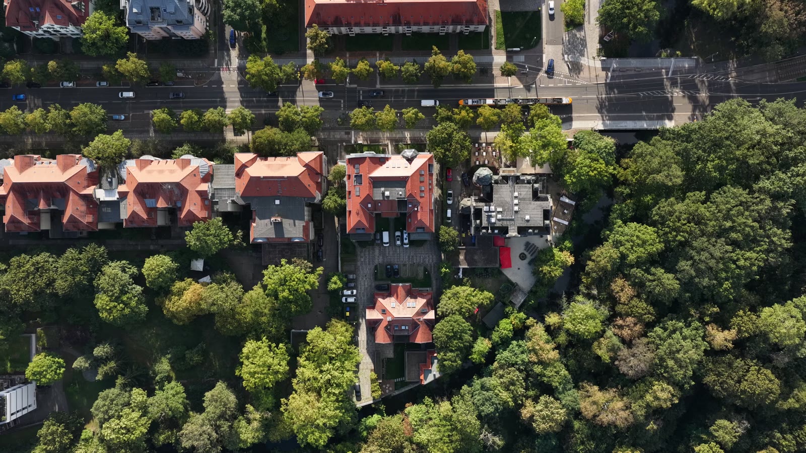 Die Waldstraße und das Viertel